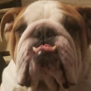 Meet your Posher, Raul